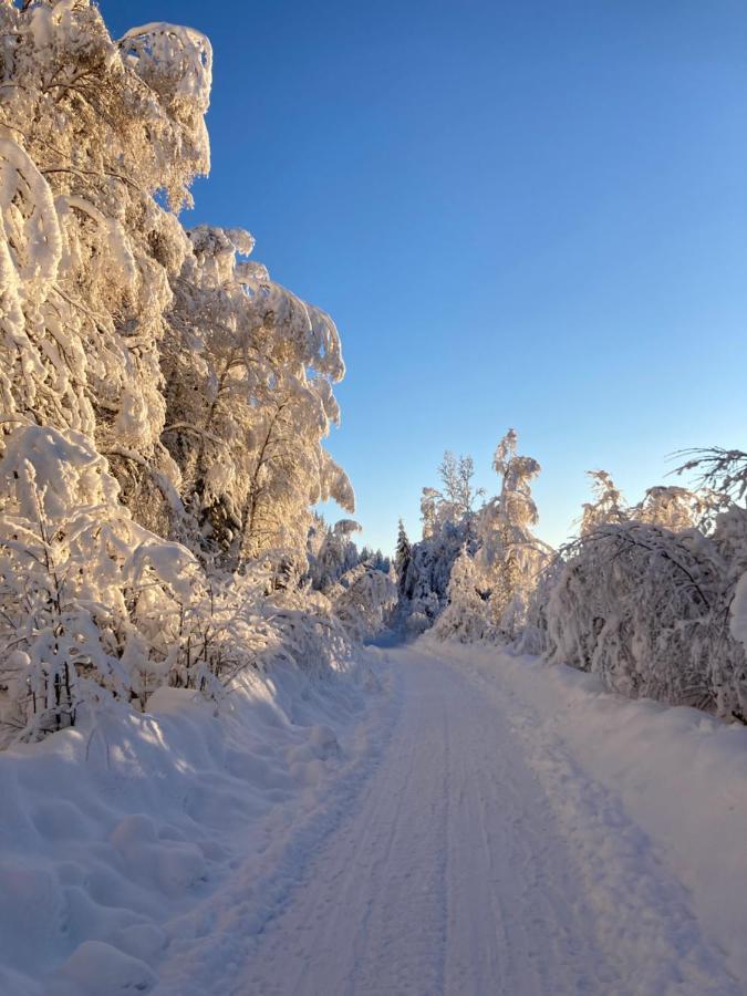 Baervallen 388 Sälen Buitenkant foto